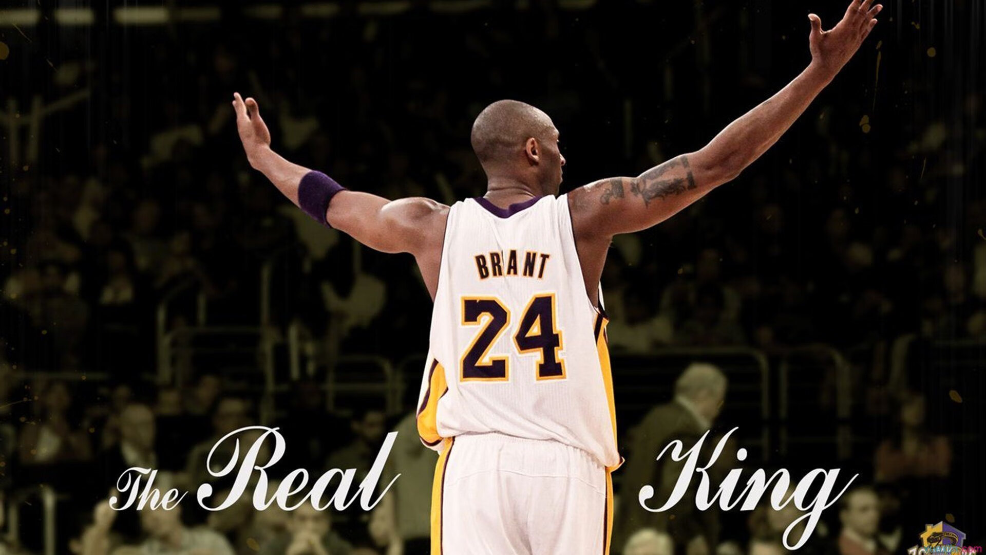 爱爱游戏-星际争霸2“未来星战”巅峰对决盛大开启，星际争霸2最新比赛