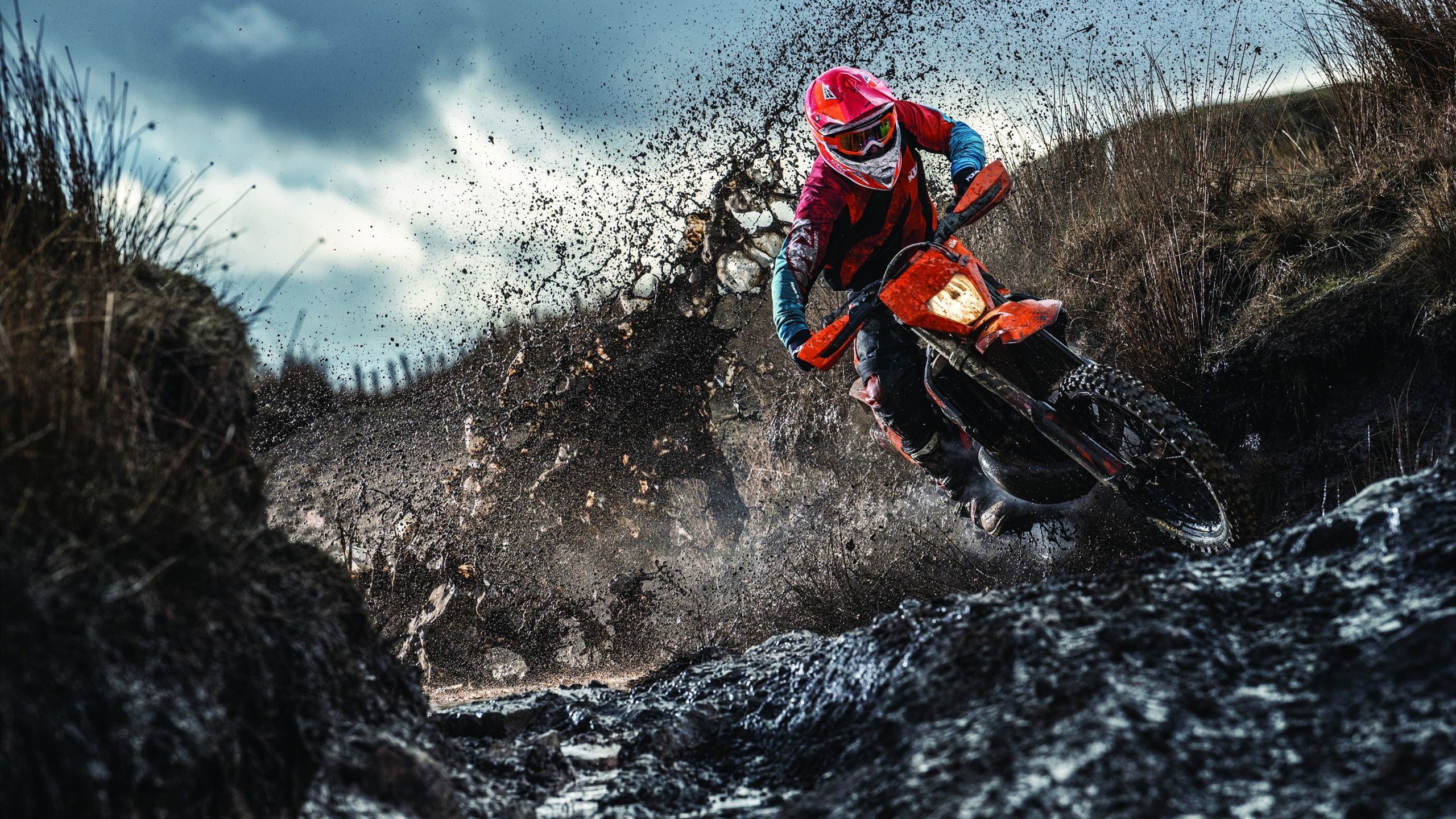 爱游戏电竞-逐梦之路：新星的成长故事感人至深，逐梦之星发型